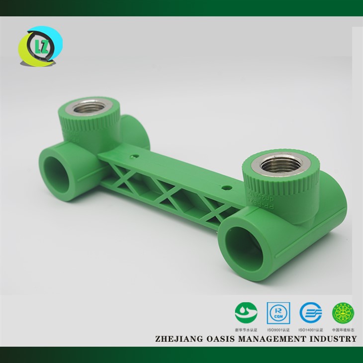 Camiseta feminina conjunta